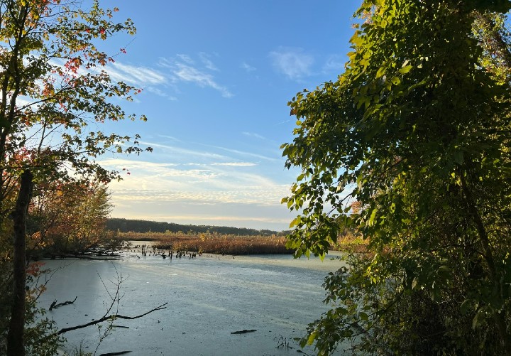 Herp Habitat